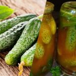 Cum să închideți castraveții în ketchup chilli pentru iarnă: 3 rețete fără egal Cum să închideți castraveții în ketchup chilli pentru iarnă: 3