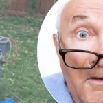 Descoperirea ciudată de lângă copac a lăsat vecinul nedumerit: ce